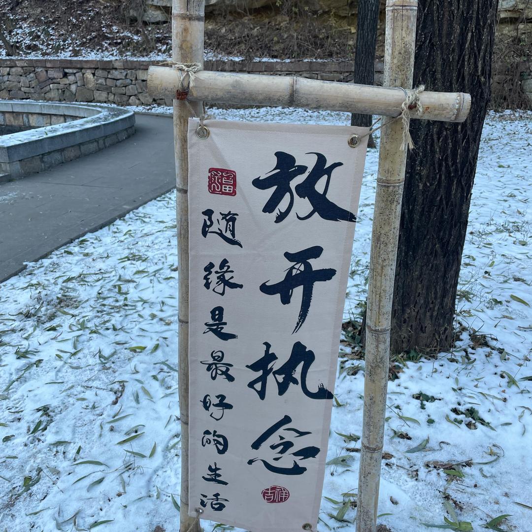 小橘子加油呀