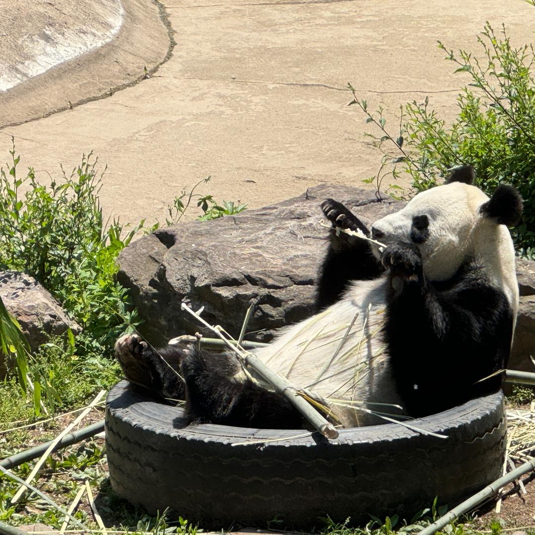 我不是