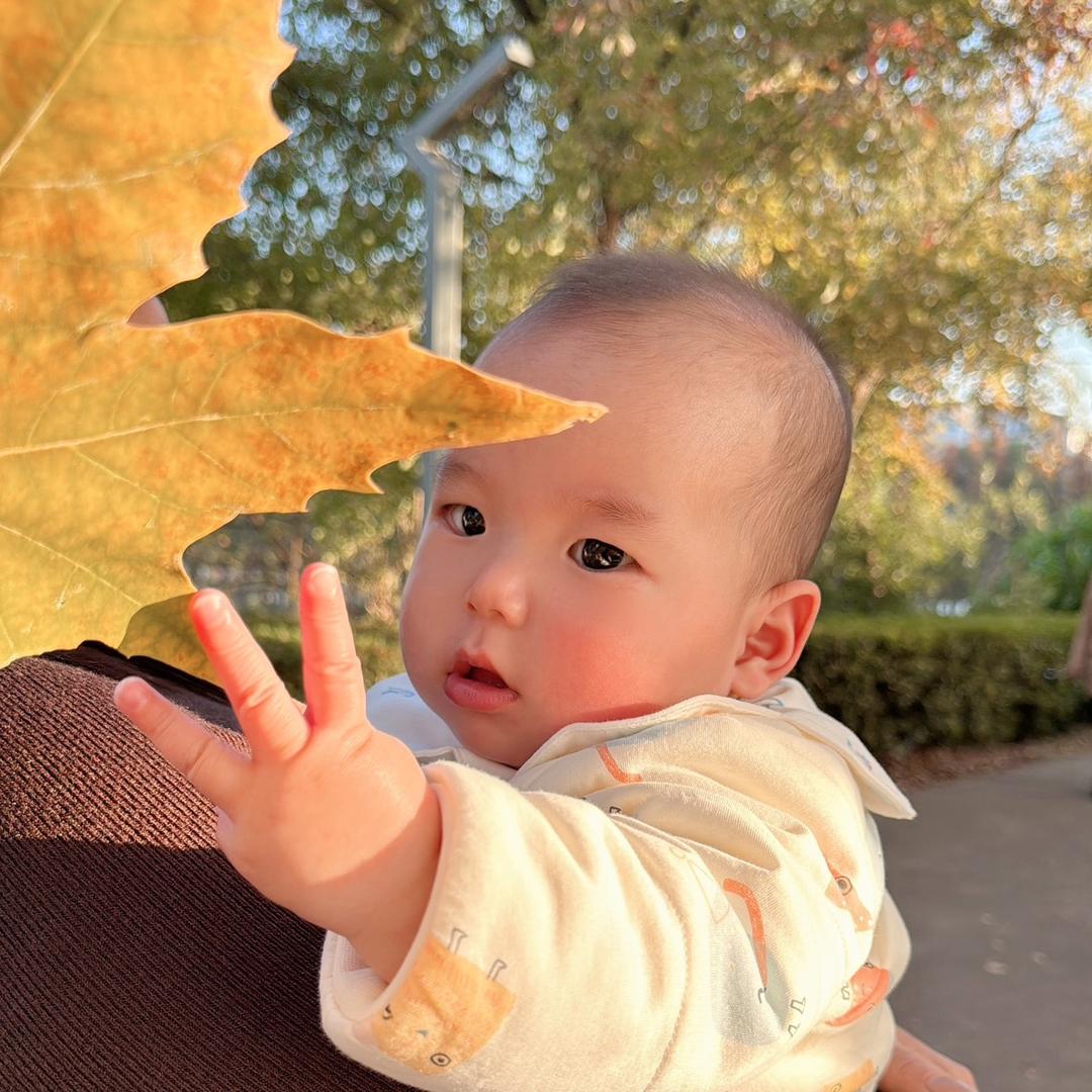 大橙子.🍊