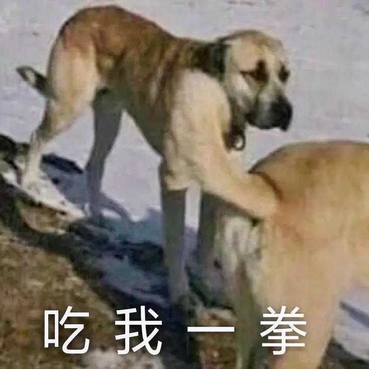 别瞎搞头像