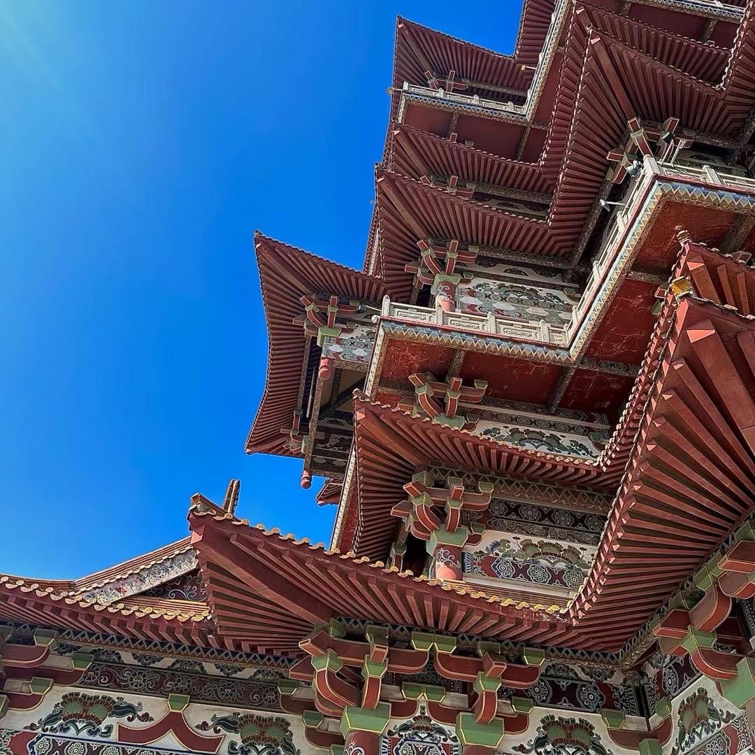 给你牛坏了？