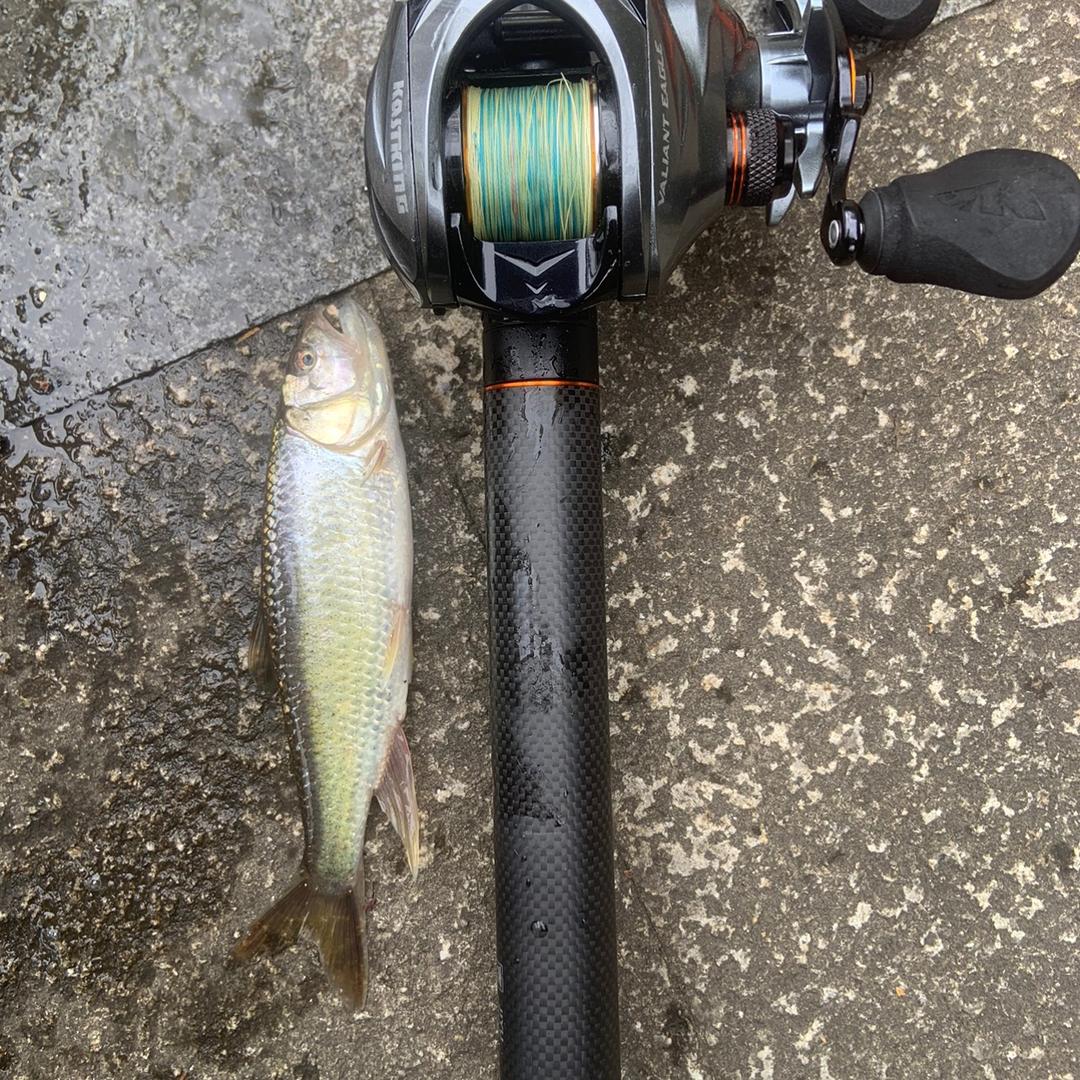 耍微物的崽🎣