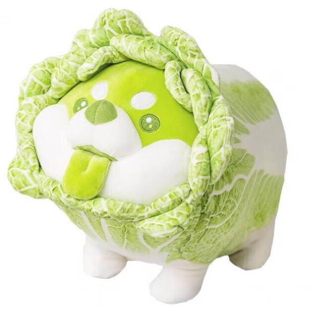 小趴蔡菜