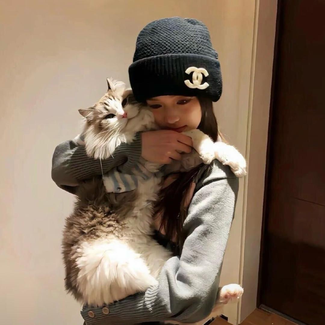 巷角的猫