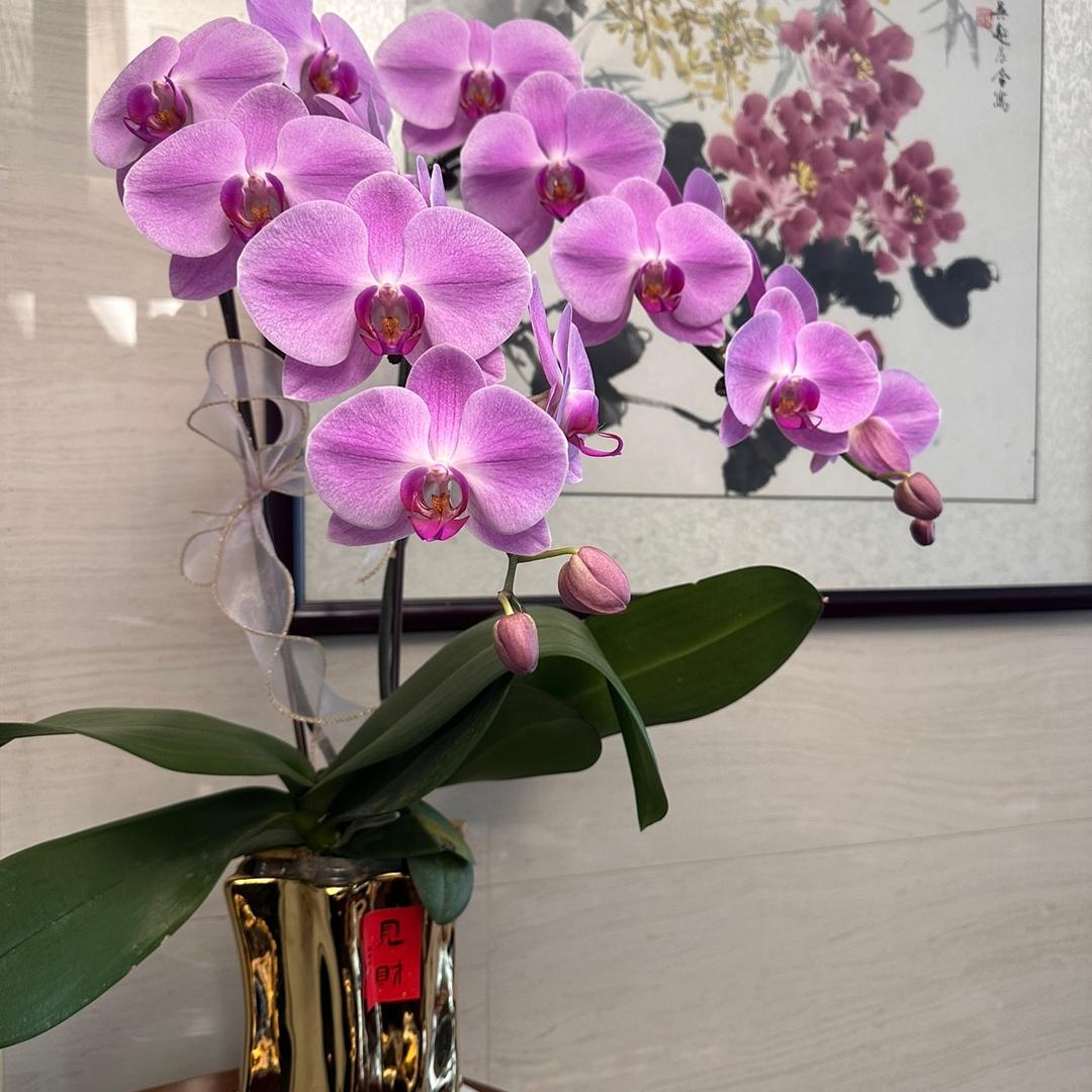 静待花开