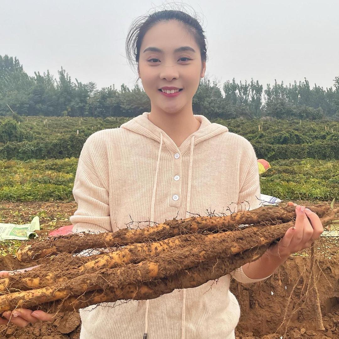 鑫鑫家的铁棍山药