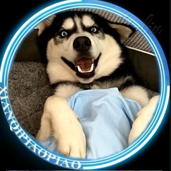 你的毛蛋🍃刀哥