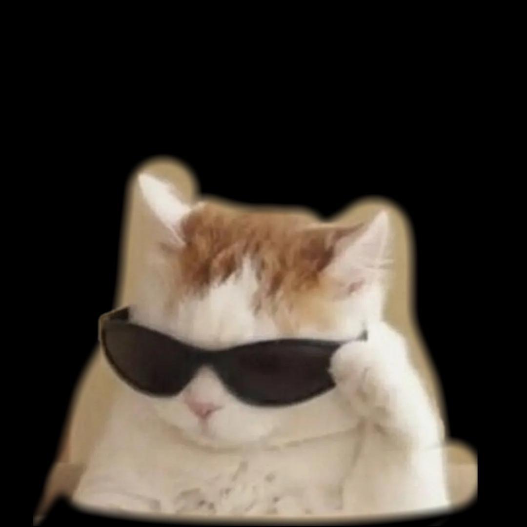 XXO