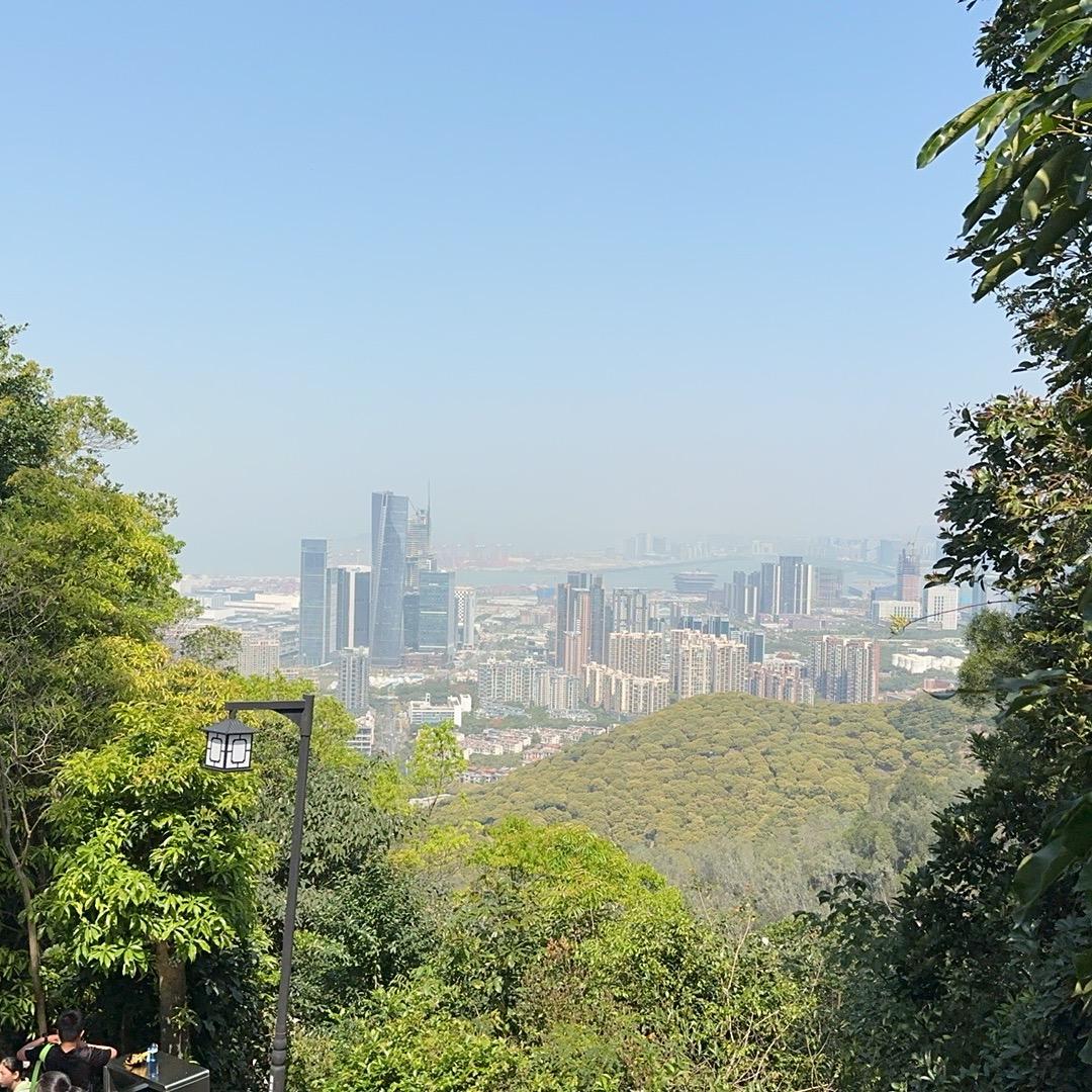 剁椒鱼头