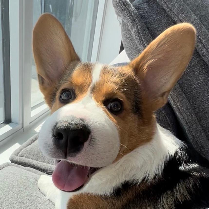 三蛋的冒险日记