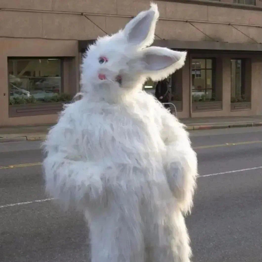 🍊（三角洲上瘾版）