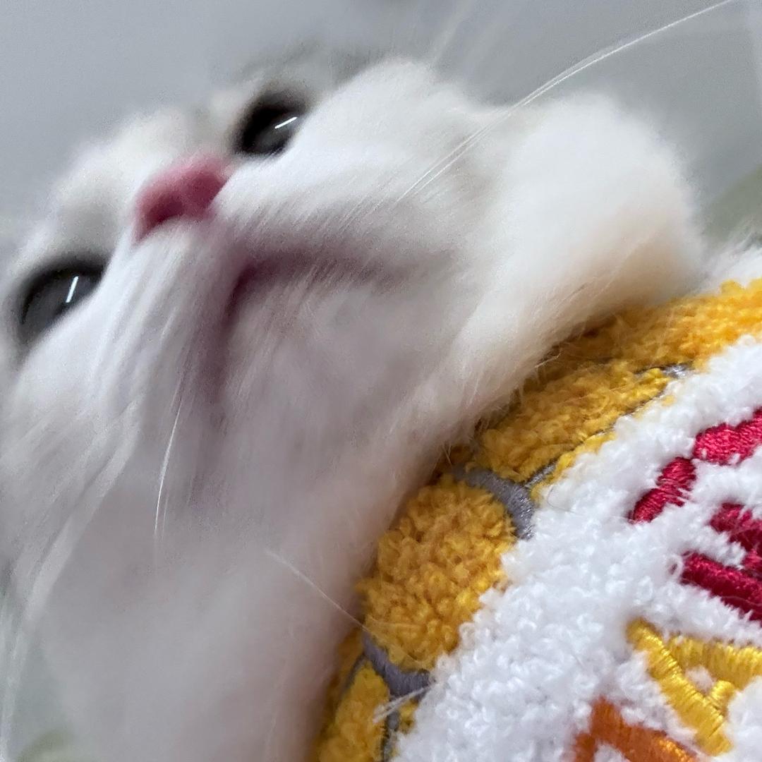 小广