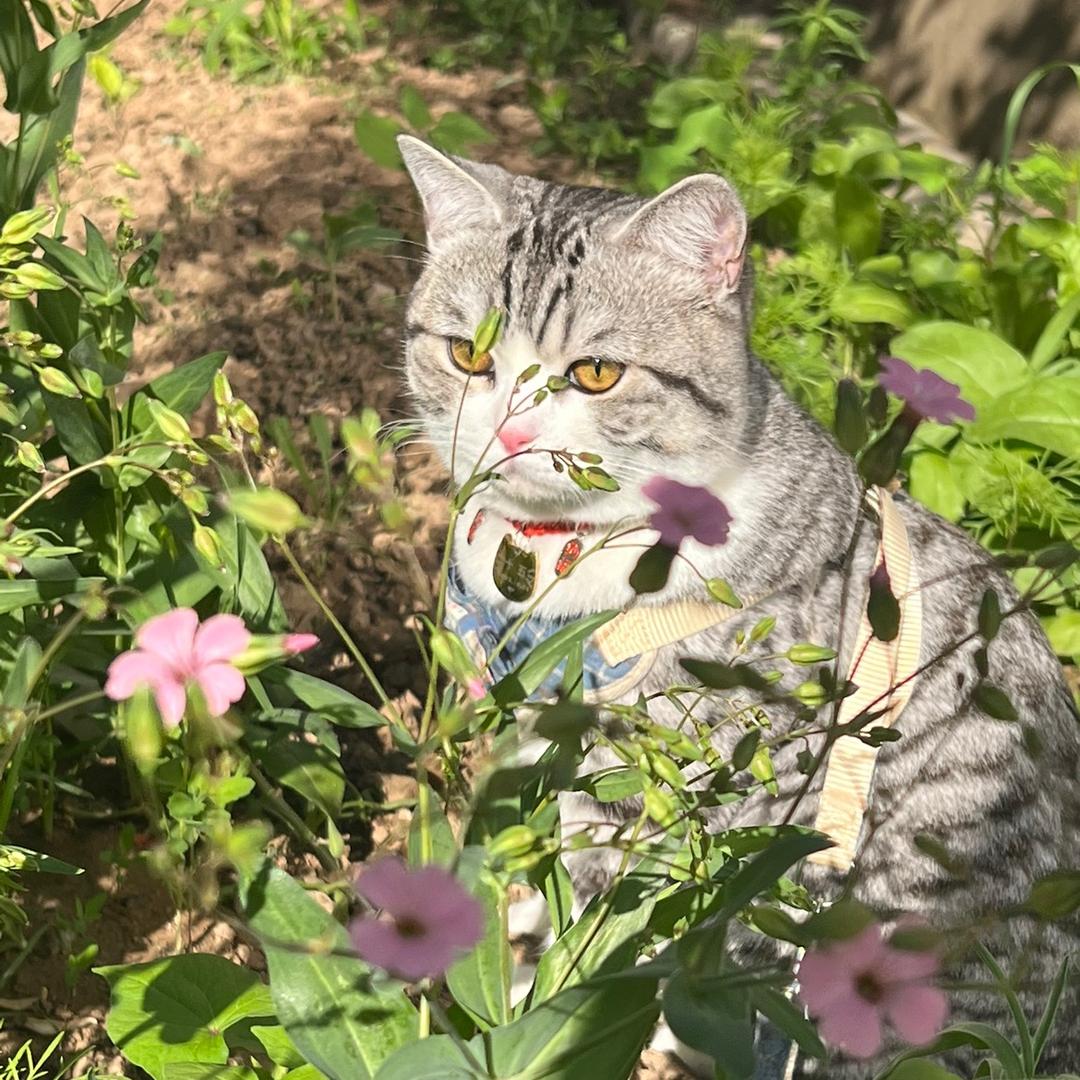 十五的小窝