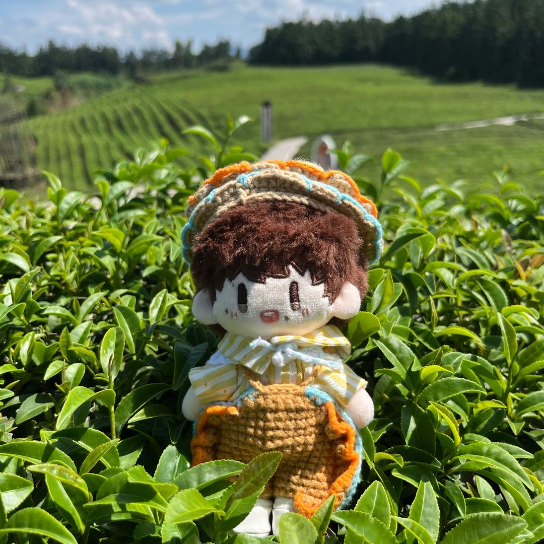 我是东北米分儿