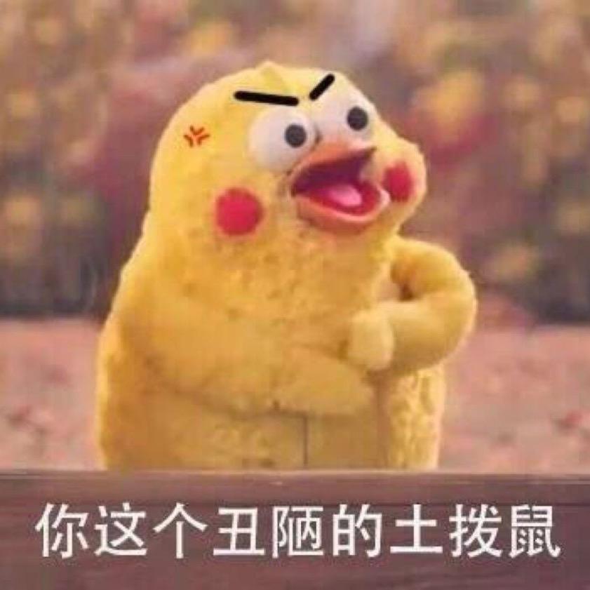 福宝wu～