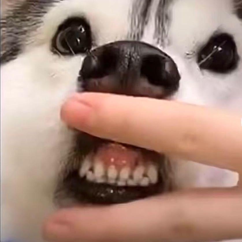 是我🎀