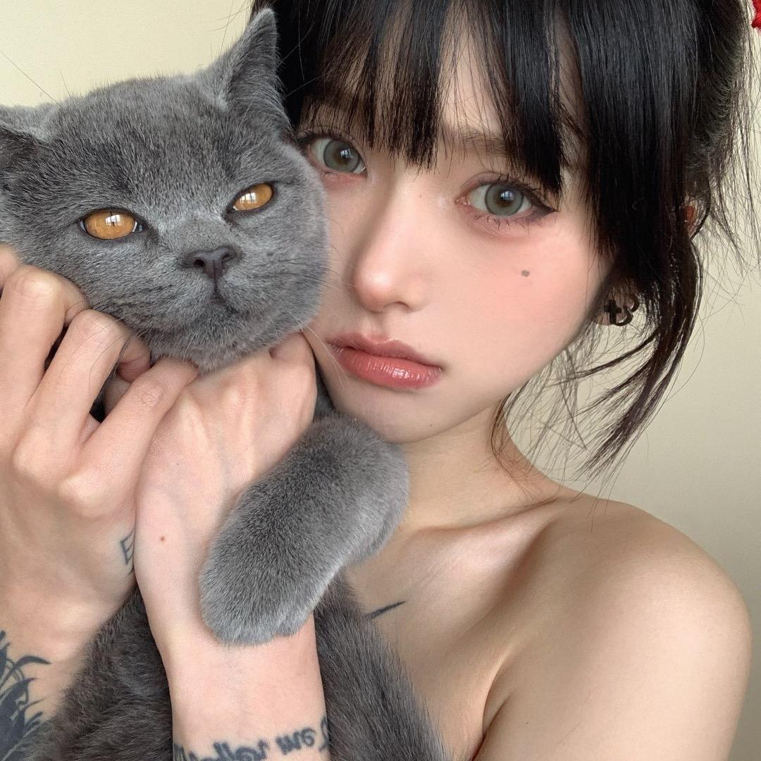 一只可爱的猪🐷