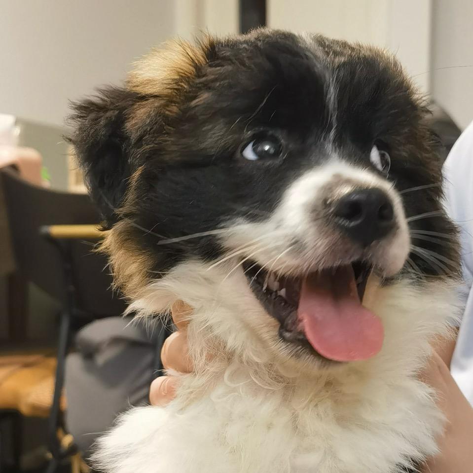 暴躁Wen的五一仔