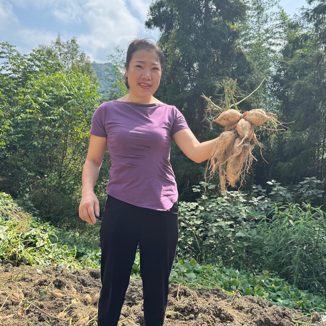 农村潘妈妈（威信县麟凤镇鳳薌酱菜厂）