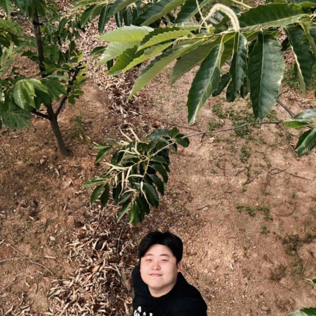 返乡小赵迁西板栗