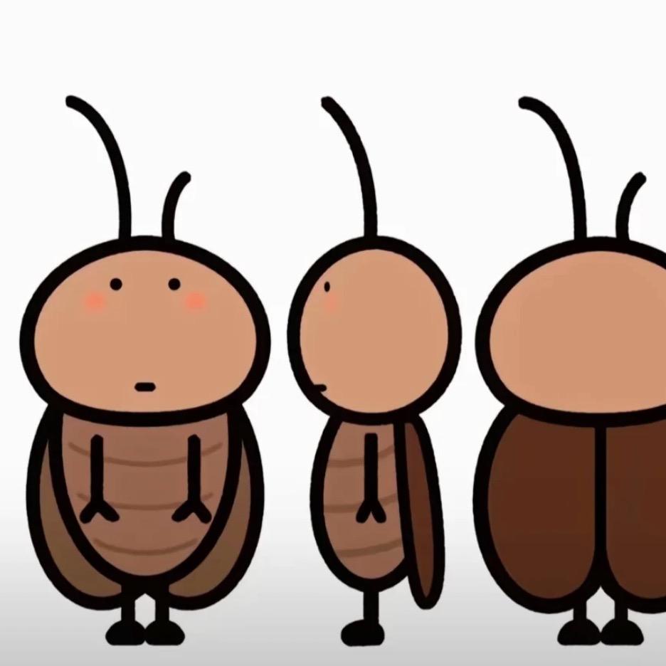 野猪拌大象猛犸象炖座头鲸