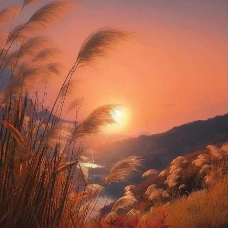 秦工说证儿1️⃣