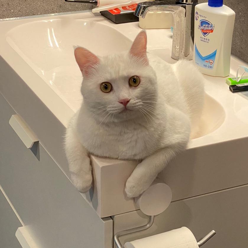 Matthias