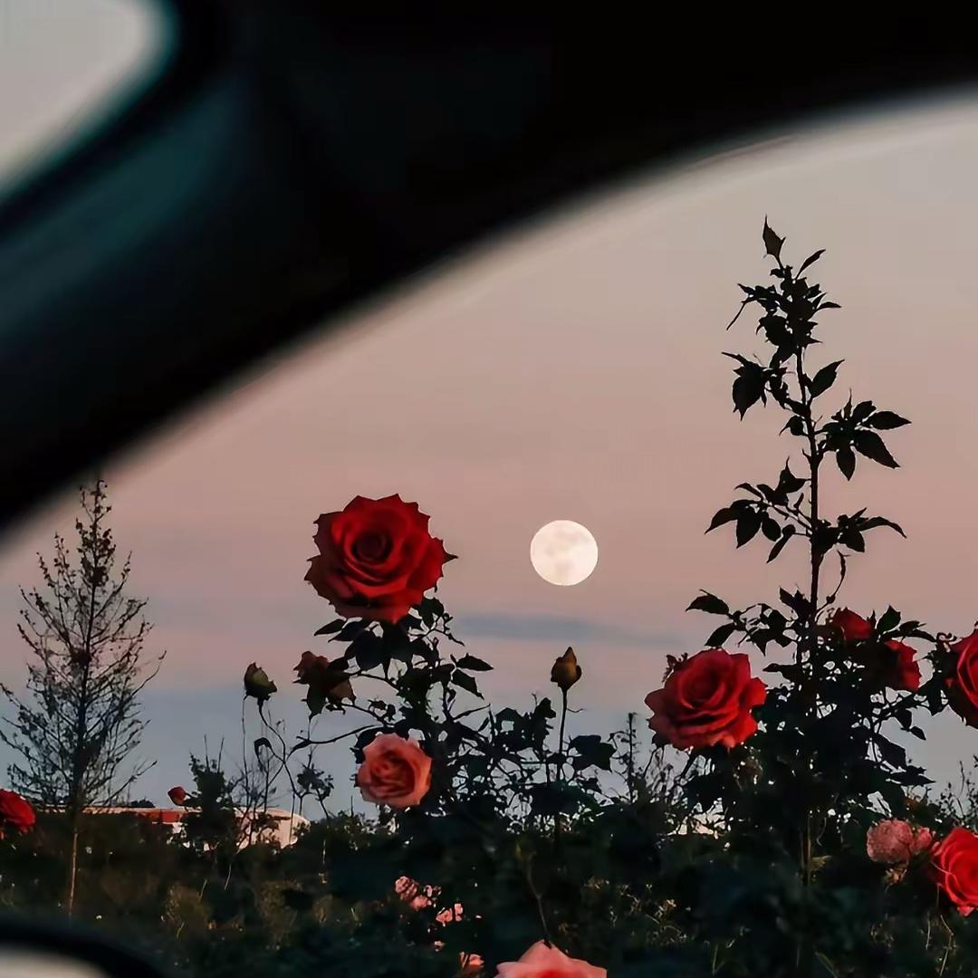 ࿐ཁེར་རྐྱང་སྐྱིད།