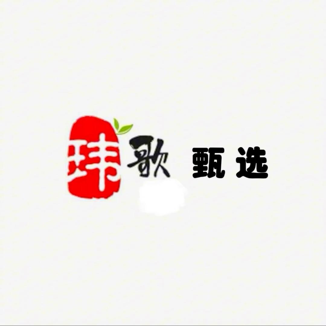 玮歌歌甄选