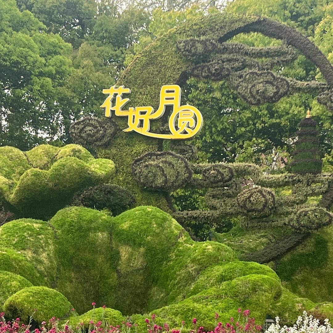 @♬ 宁静的夏@💞🎶