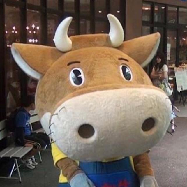 牛哥游日本