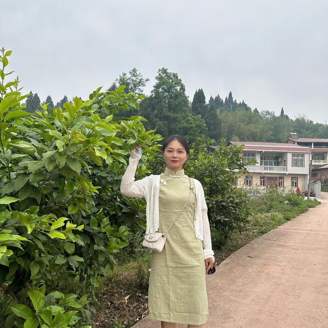 琴妹仔、柠檬之乡