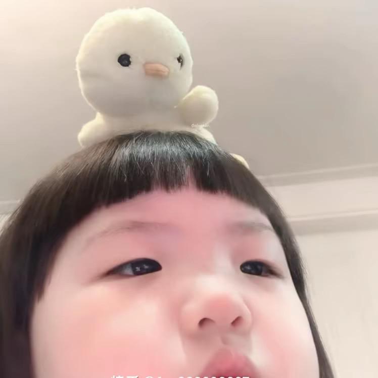 宝宝莹