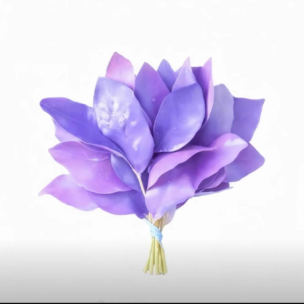 讨厌⁷苦瓜
