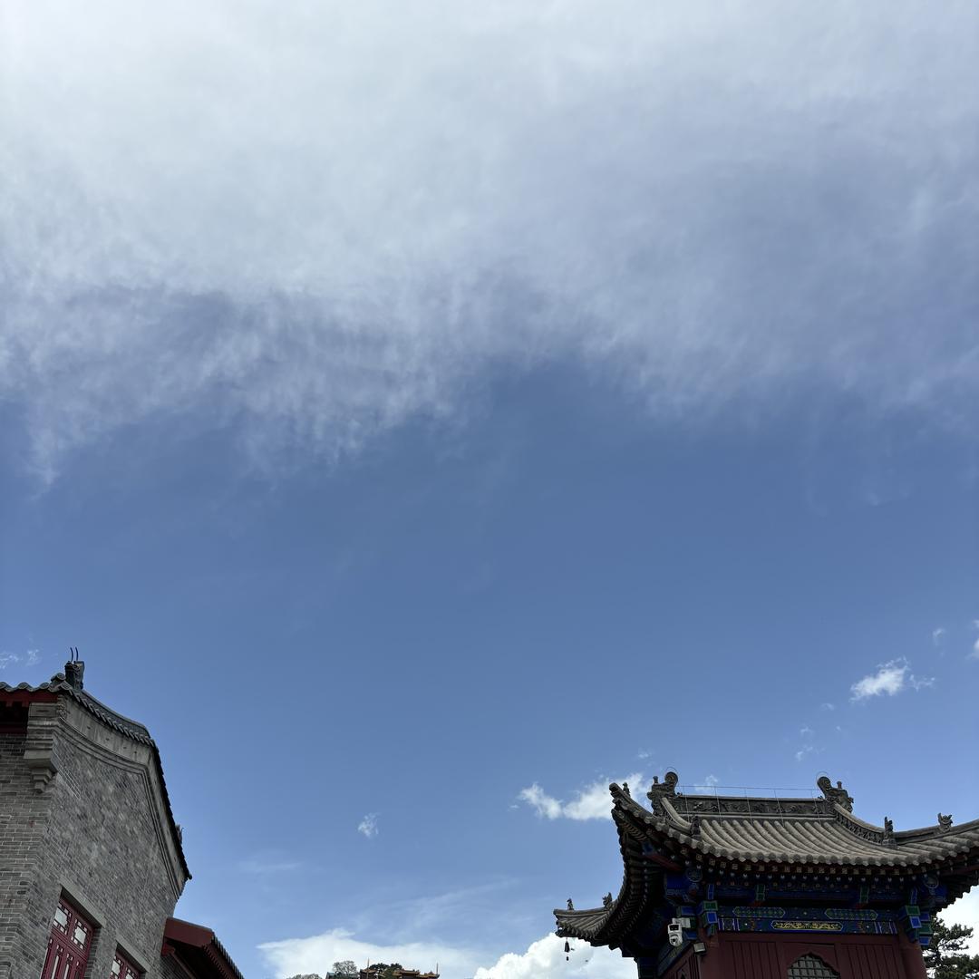 小振优选
