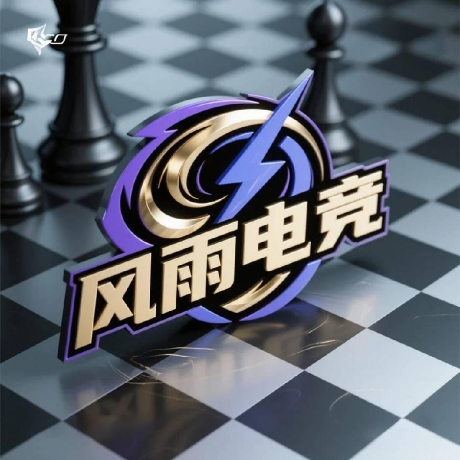 风雨电竞2号（金铲铲）