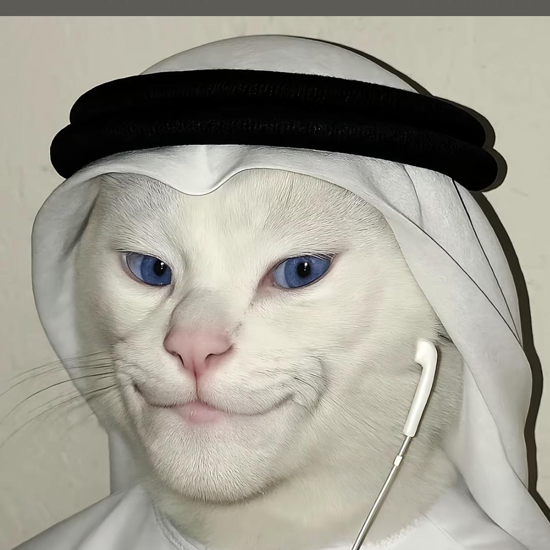 我不喜欢之（国道版）