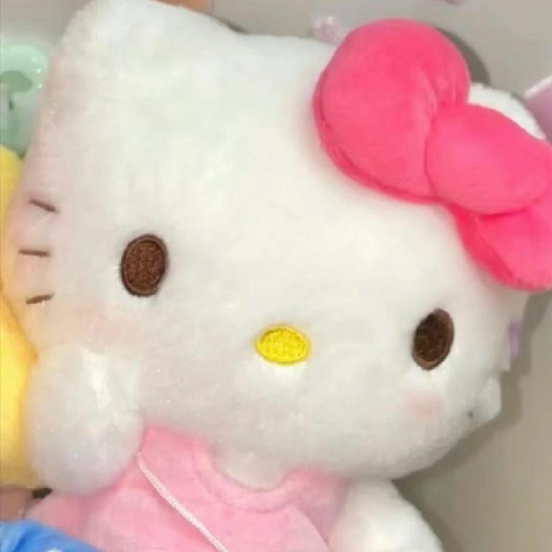 胖成🐷了