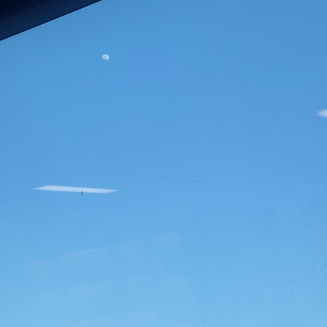 范姐爱美食