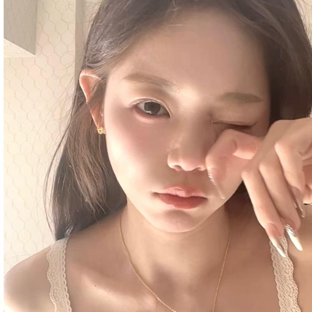 乌龟爱上猫