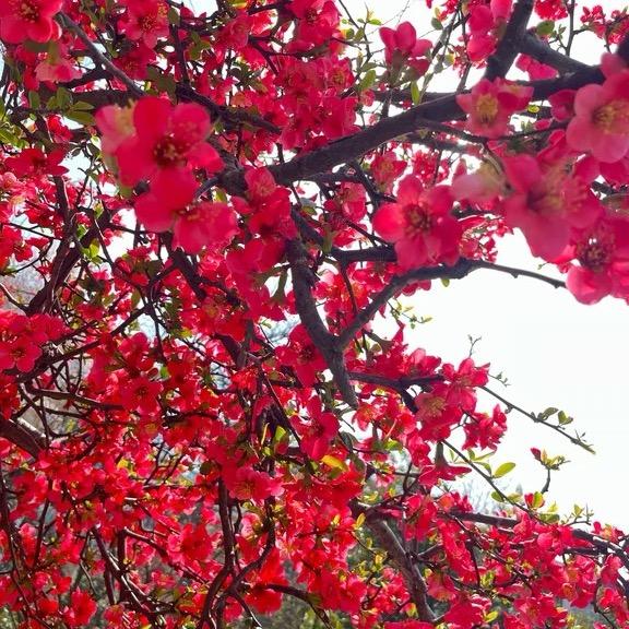 紫涵宝宝ʕ๑•ɷ•๑ʔ❀