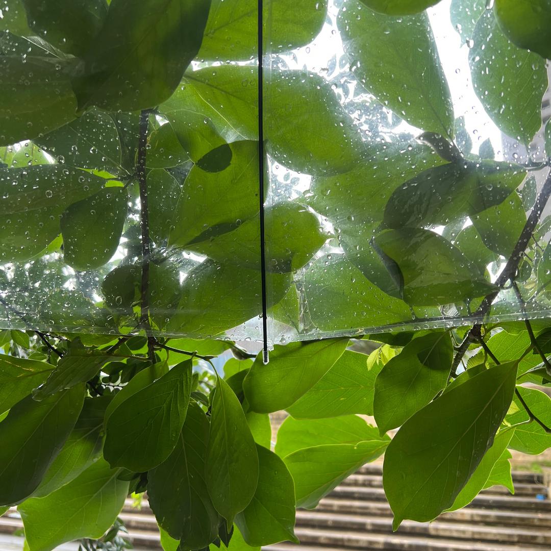 抱着姑娘的盒子