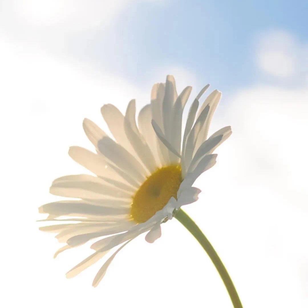 🦋꧔ꦿ᭄💞龙꧔ꦿ࿐้