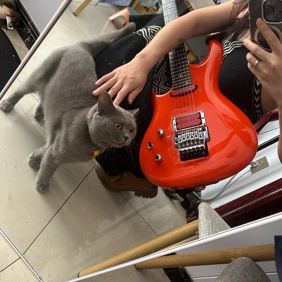 初心喵🎸