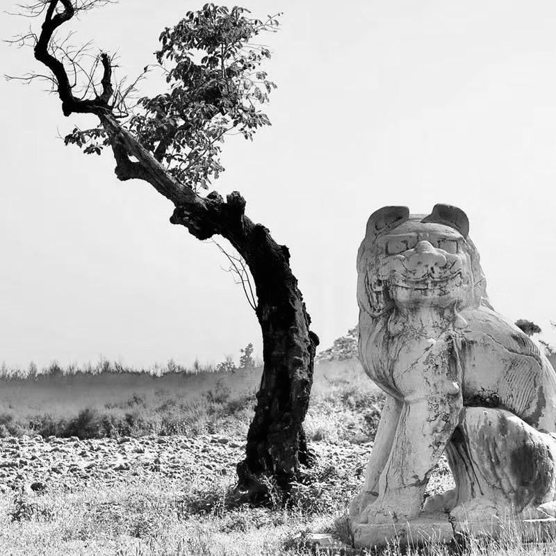 且容老子上南楼