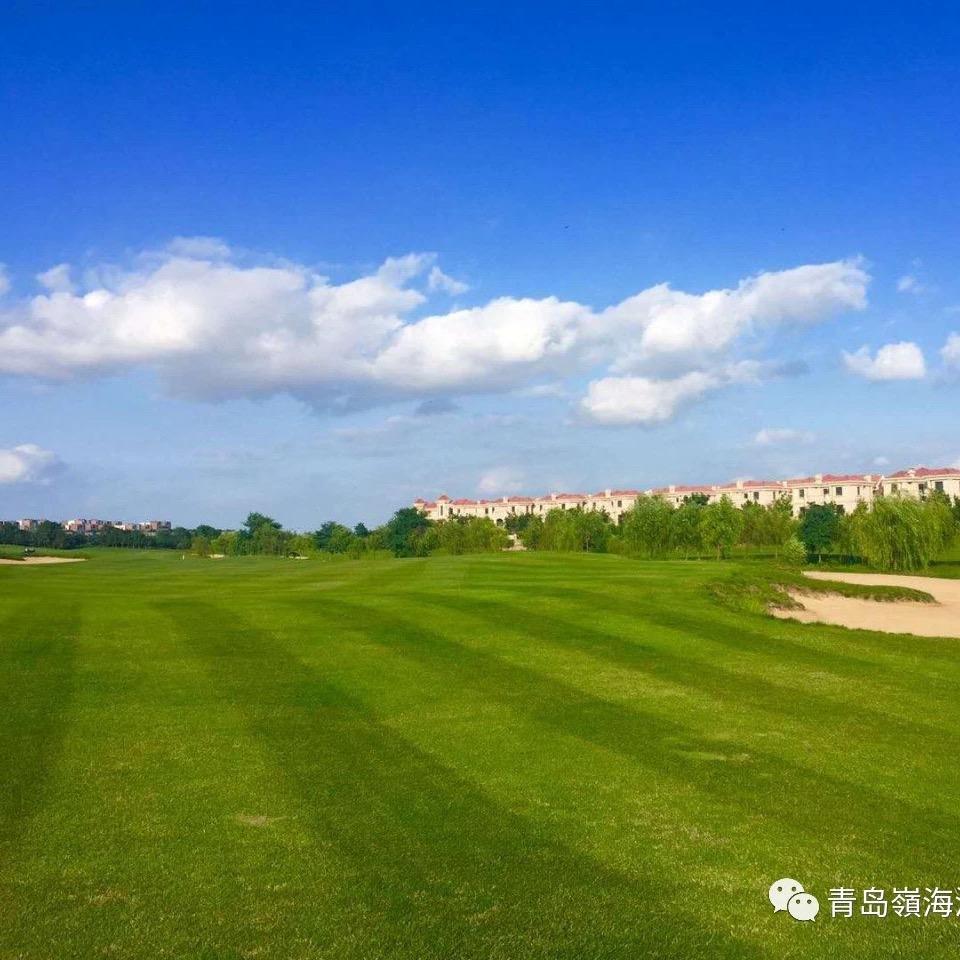 嶺海高尔夫练习场王志上