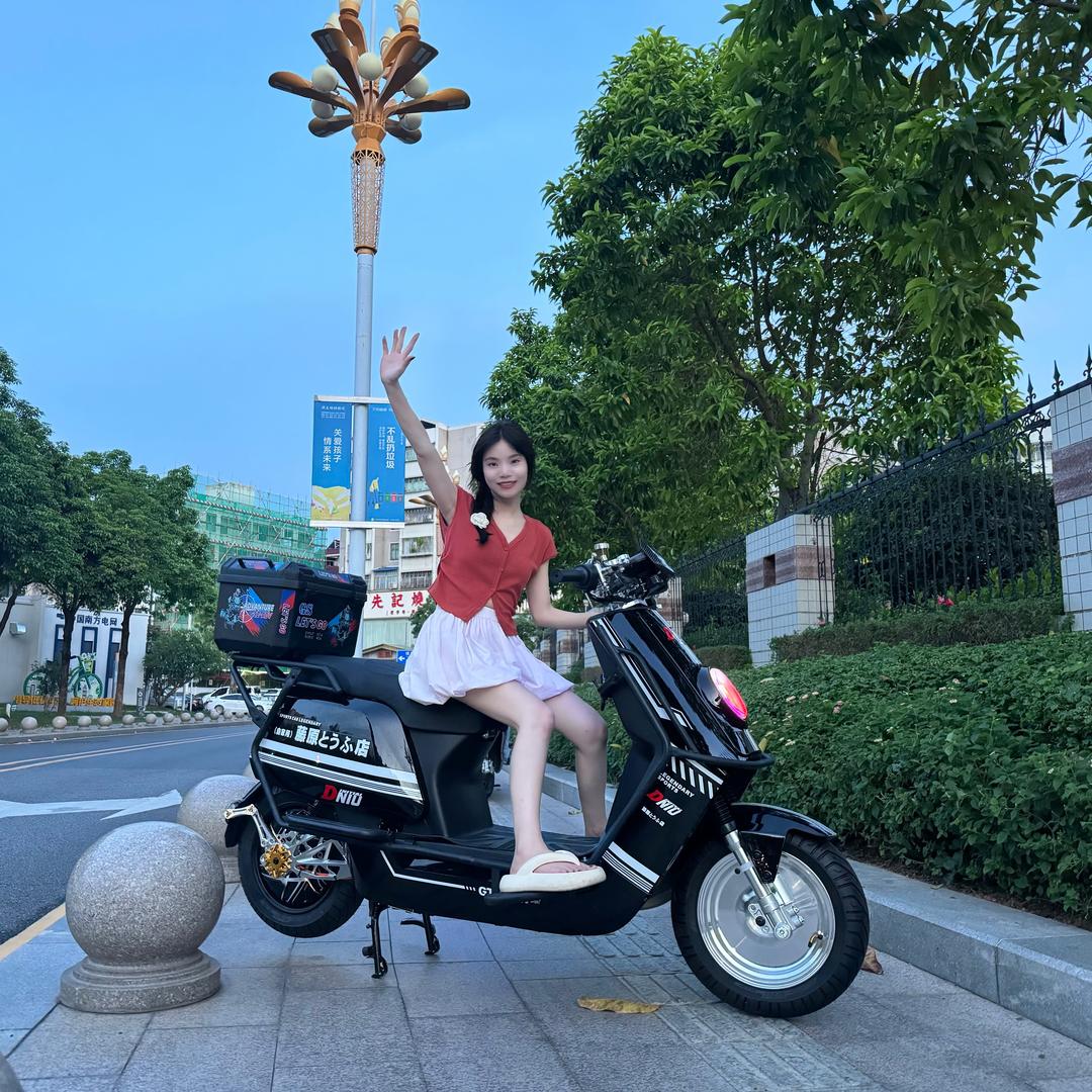 深圳动牛电动车-刘亦菲2.0