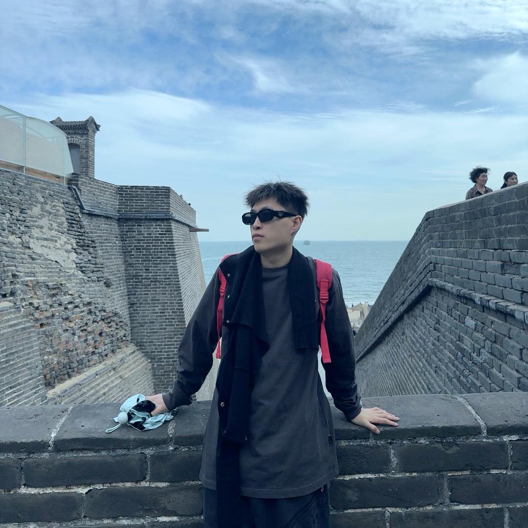 一朵风中摇曳的大菊花