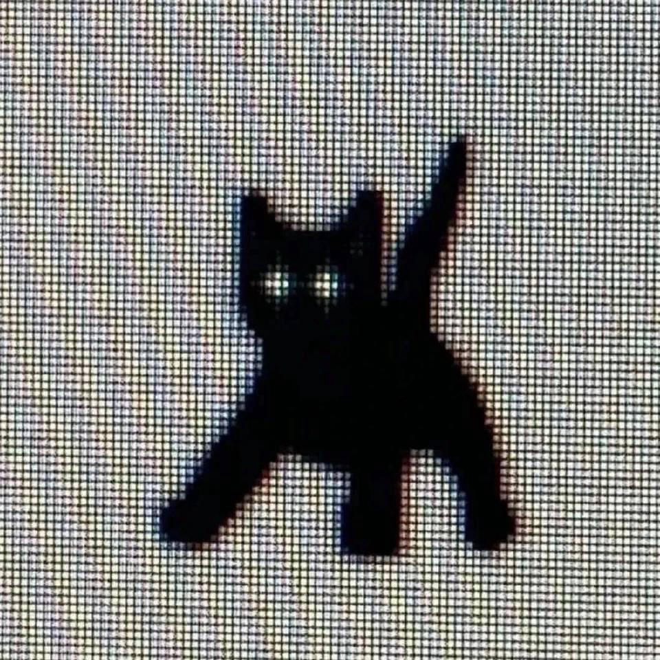 鸿鹄.