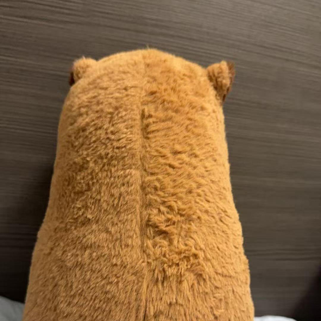 _.